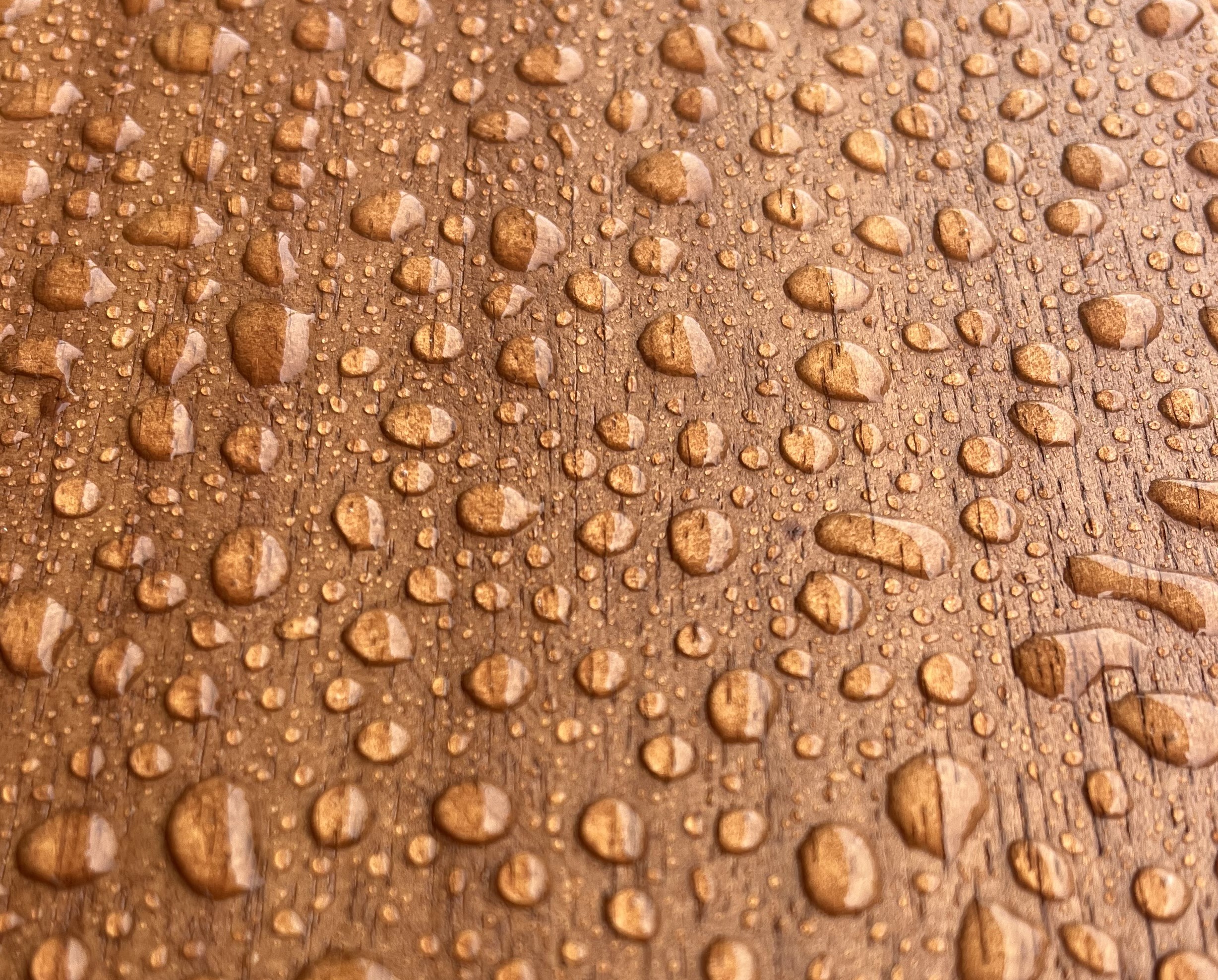 NovaSeal Water Beading Water beading on wood